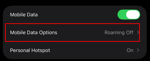 iPhone Mobile Data Options menu