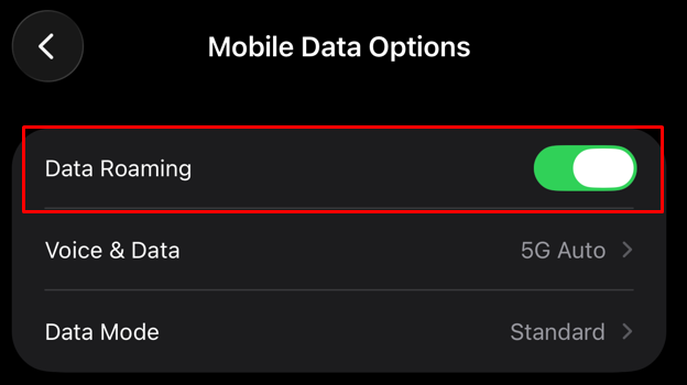iPhone Data Roaming toggle set to ON