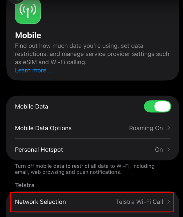 iPhone Network Selection screen