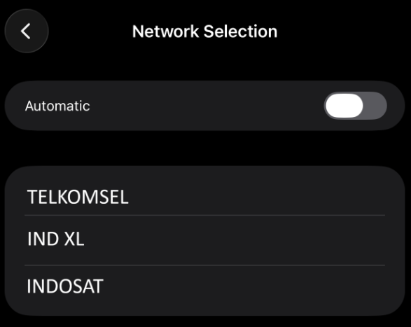 iPhone Automatic toggle disabled